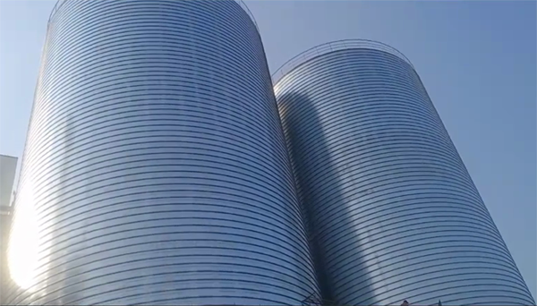 藤县2座混凝土高架卷板仓